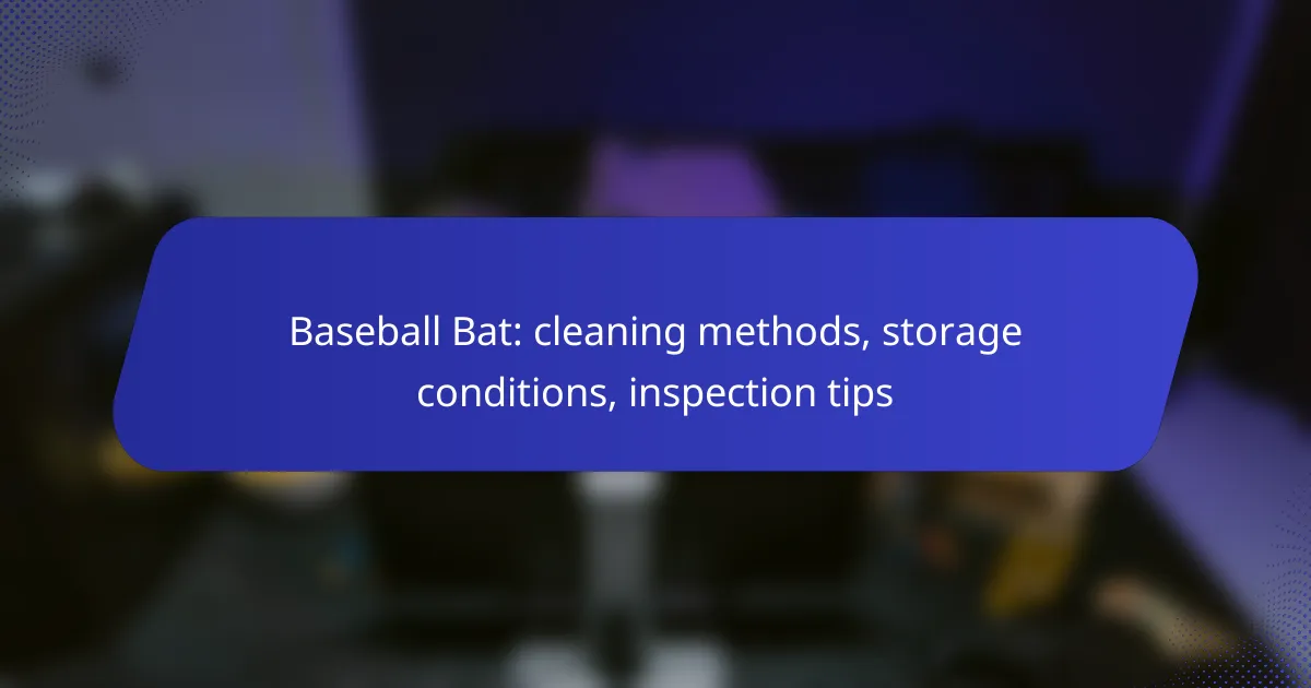 Baseball Bat: cleaning methods, storage conditions, inspection tips